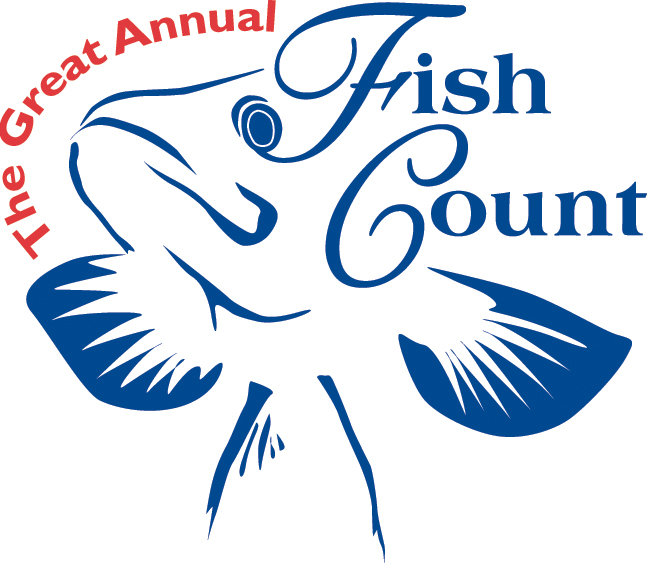Fish Count is coming soon!