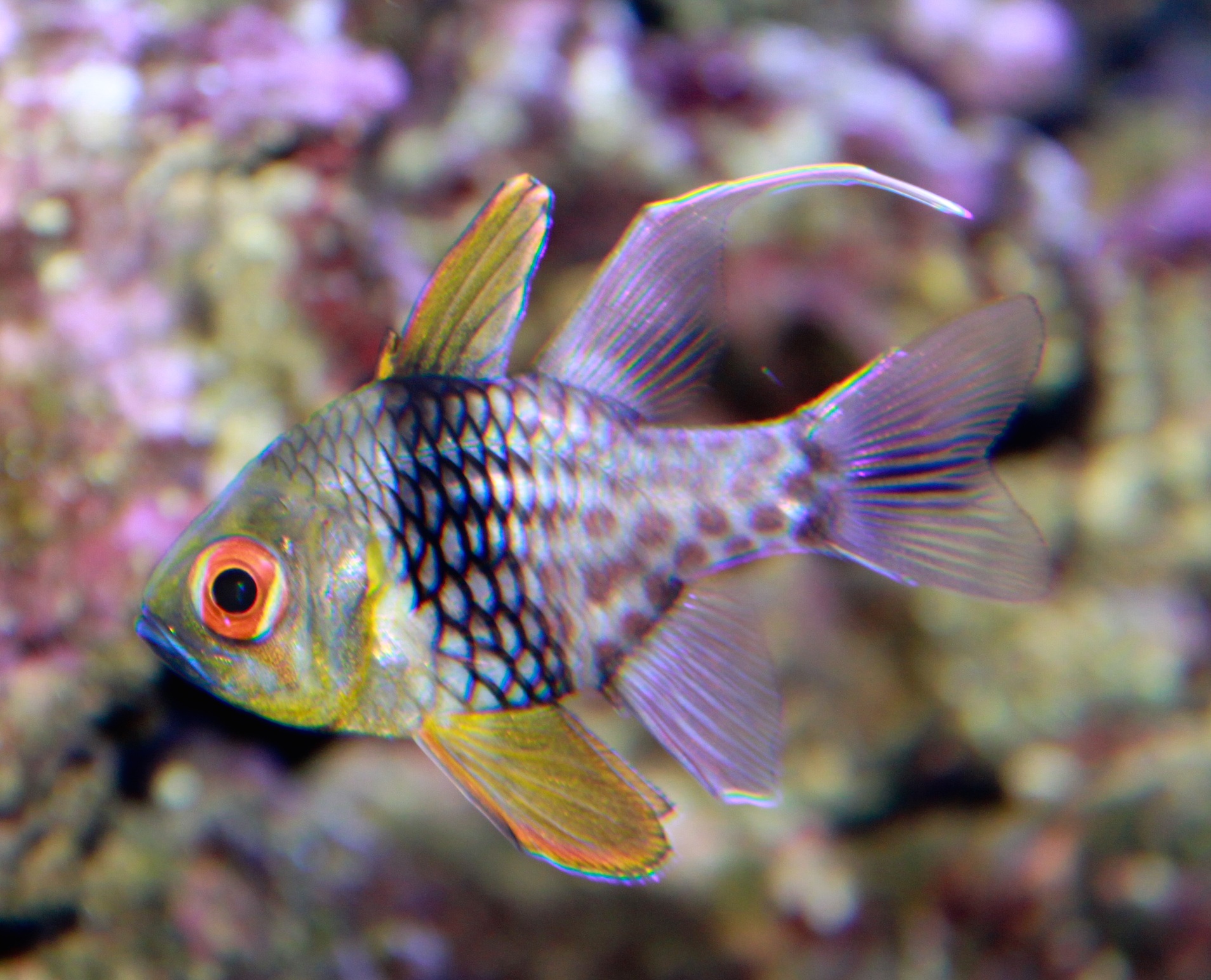 Making It Count October/November 2015 Reef Environmental Education