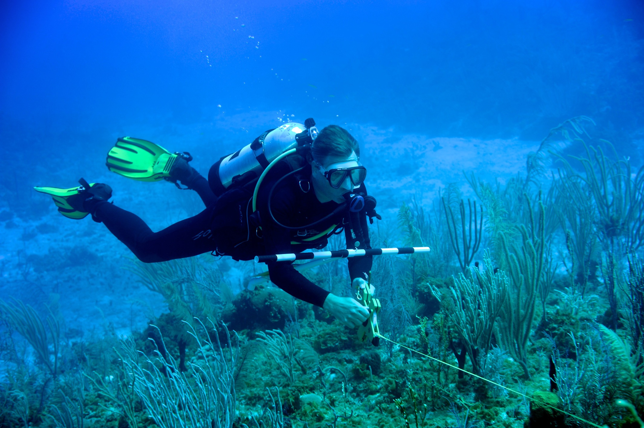 The Faces of REEF Member Spotlight, Ken Marks Reef Environmental