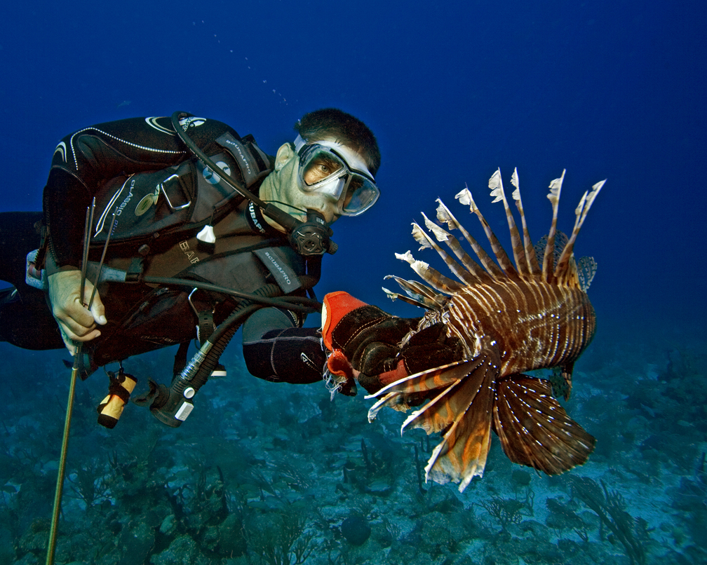 reef environmental education foundation