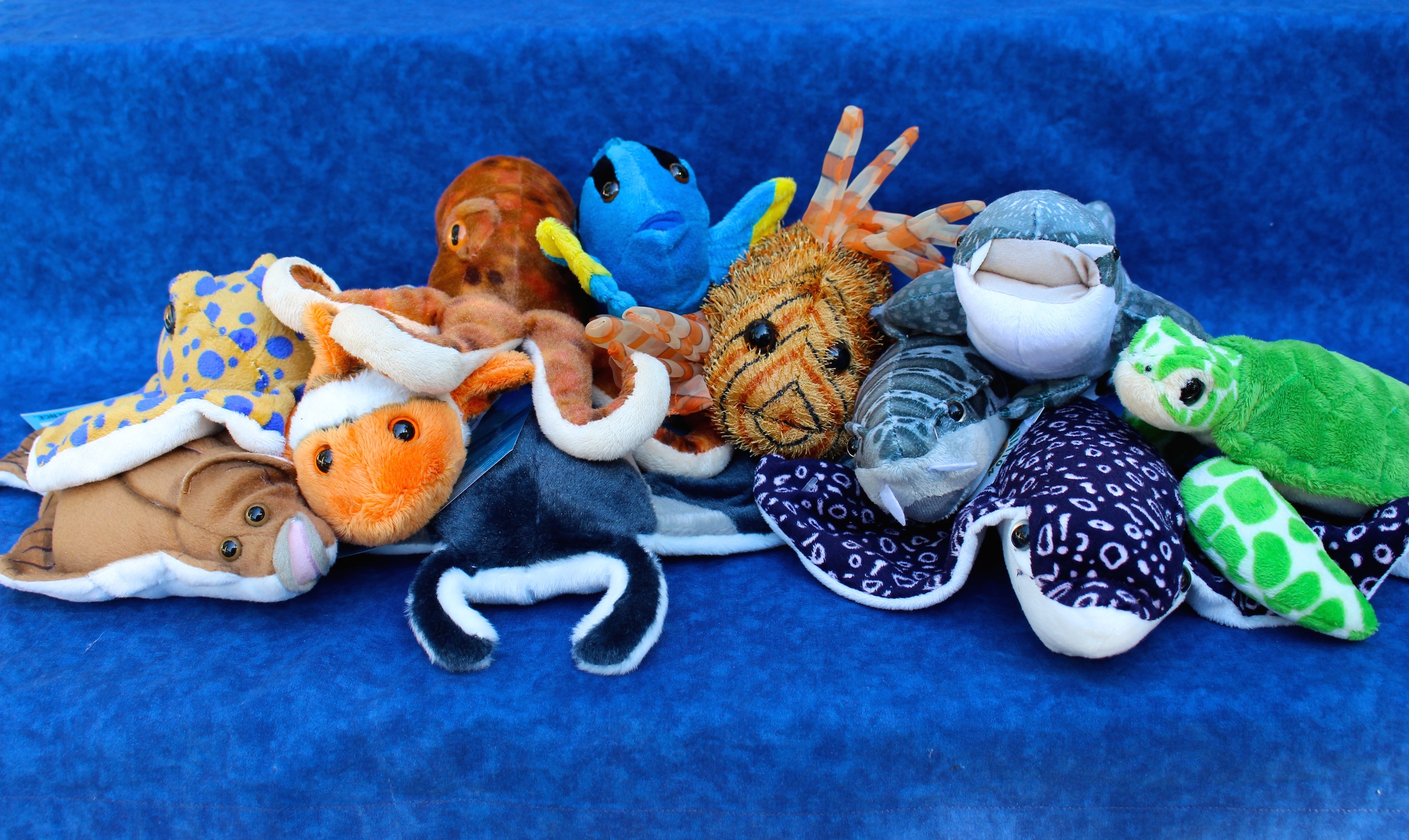 itty bittys clippys