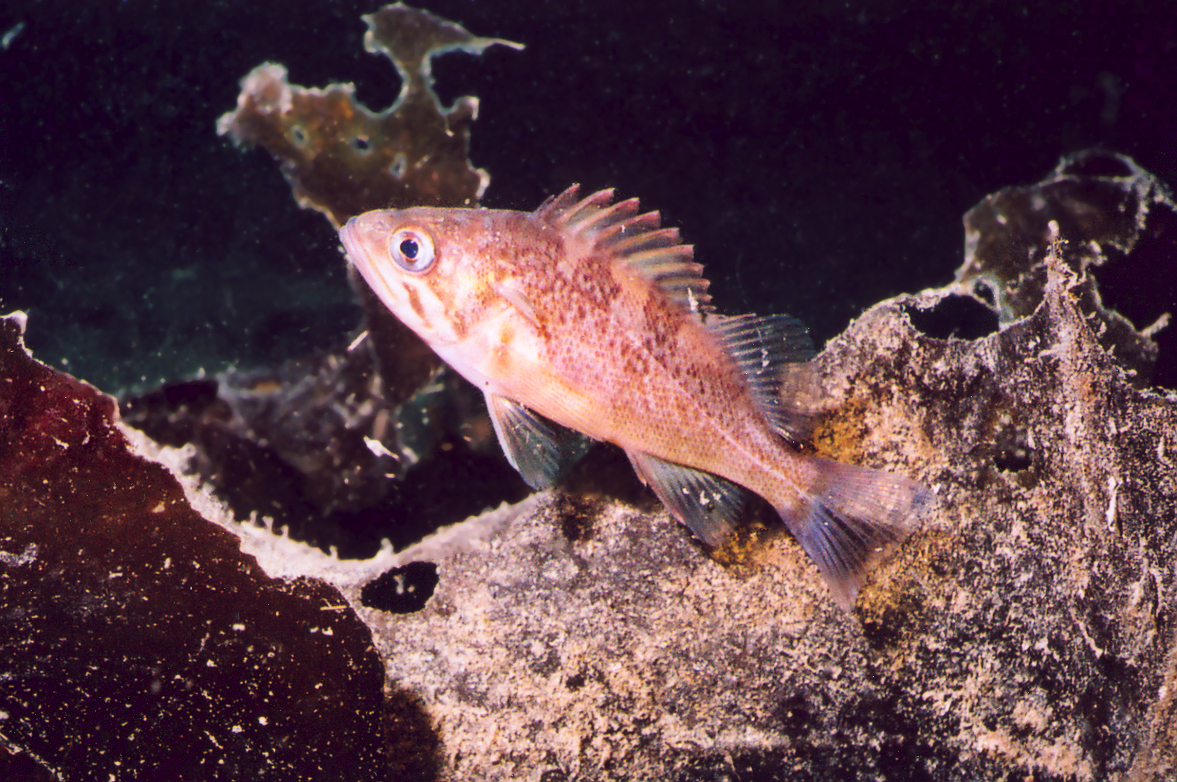 Making It Count July/August 2013 Reef Environmental Education