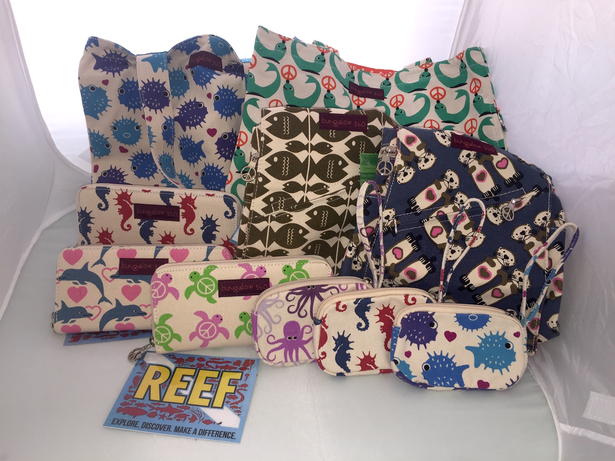 Making It Count - May 2017 | Reef Environmental Education Foundation (REEF)