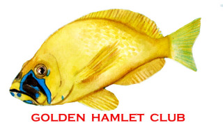 Official Golden Hamlet Image by Eleanor
Pigman