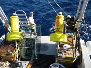 Grouper Moon lead scientist Brice Semmens fishing to tag Nassau grouper for acoustic tagging on Cayman Brac.: The yellow buoys are deployed to indicate the spawning aggregation protected areas.