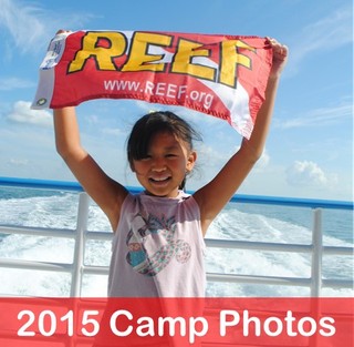 Florida Keys Summer Camps