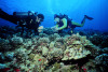 ladliz_molokini
