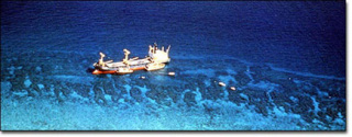 The M/V Wellwood aground on Molasses Reef, Key Largo, in 1984.  Photo courtesy FKNMS.