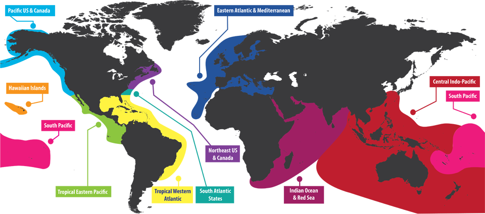 Map of regions