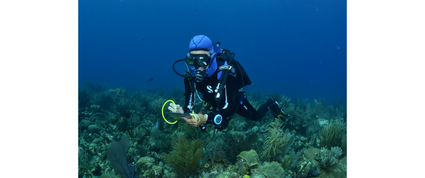 A scuba diver wearing a blue hood, recording fish sightings on a slate underwater.