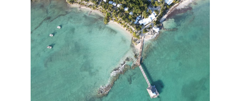 Field Survey Trip to Andros, Bahamas | Reef Environmental Education