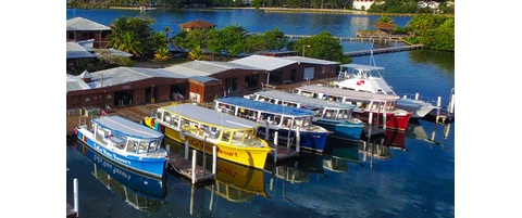 Roatan Field Survey Trip | Reef Environmental Education Foundation