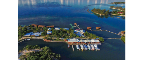 Roatan Field Survey Trip | Reef Environmental Education Foundation