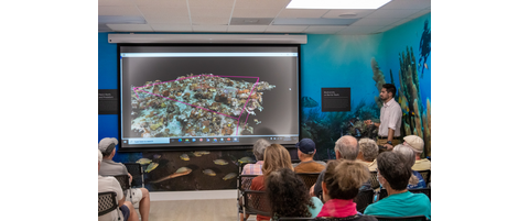 REEF Fish & Friends Seminar Series for 2024 | Reef Environmental ...
