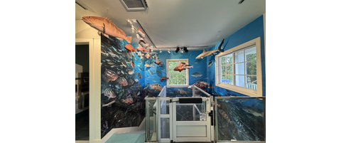 Hours, Directions, and Admission | Reef Environmental Education Foundation