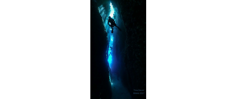 Chuck swimming though a crack Chuck swimming though a crack