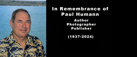 Reef Environmental Education Foundation | Conserving Oceans Through ...