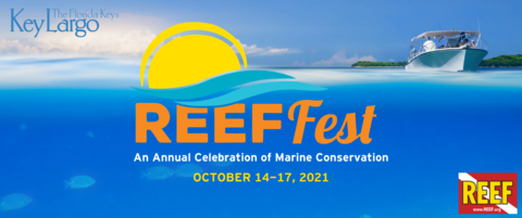 REEF Fest | Reef Environmental Education Foundation
