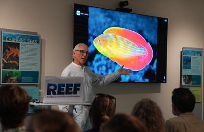 A presenter hold a marine sponge while standing in front of a projector screen.