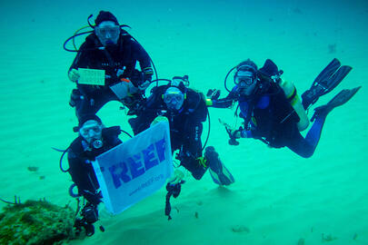 Kathy Doane completes her 500th REEF survey dive