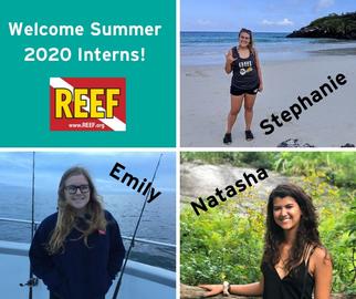 Summer 2020 Marine Conservation Interns