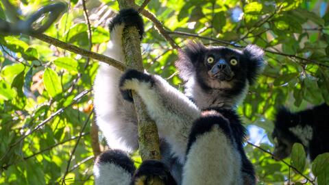 Photo by Marco Salas