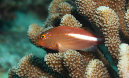 Photo by Janna Nichols