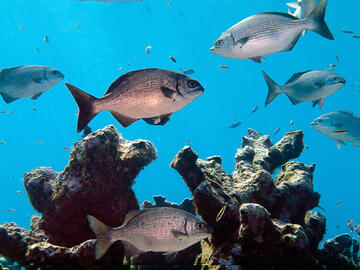 Photo by Jeff Haines