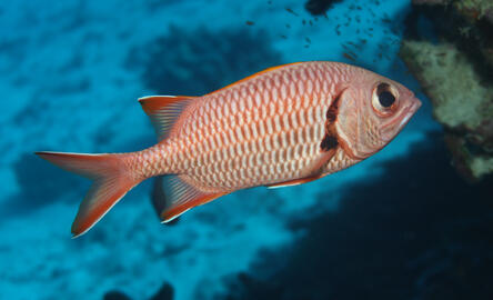 Photo by Janna Nichols