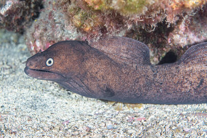 Photo by Stacey Henderson