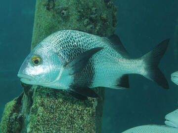 Photo by Janna Nichols Photo by Janna Nichols