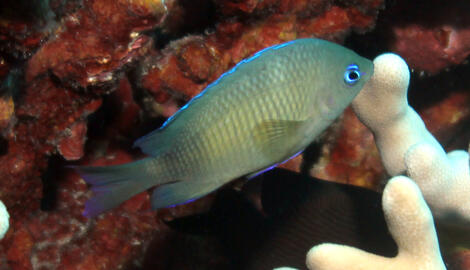 Photo by Janna Nichols