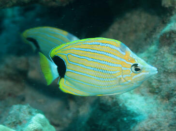 Photo by Janna Nichols