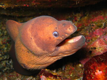 Photo by Marco Santos @imagDOP