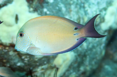 Photo by Janna Nichols Photo by Janna Nichols