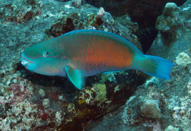 Photo by Janna Nichols Photo by Janna Nichols