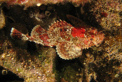 Photo by Janna Nichols Photo by Janna Nichols