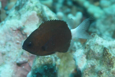 Photo by Janna Nichols