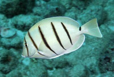 Photo by Janna Nichols