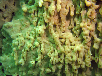 Photo by Janna Nichols