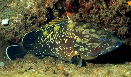 Photo by Jorge Fontes @imagDOP