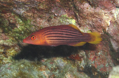 Photo by Janna Nichols