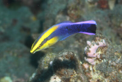 Photo by Janna Nichols