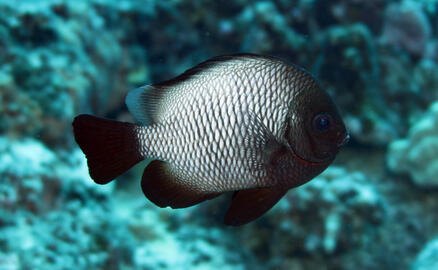 Photo by Janna Nichols