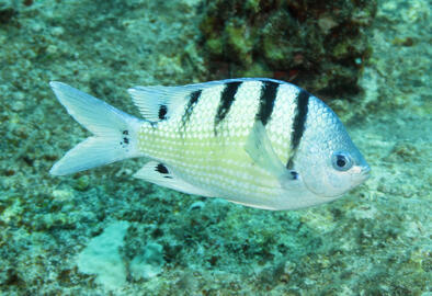 Photo by Janna Nichols