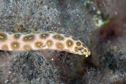 Photo by Stacey Henderson