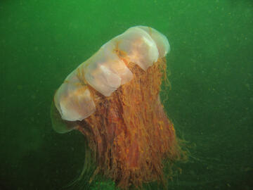 Photo by Janna Nichols