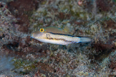 Photo by Stacey Henderson