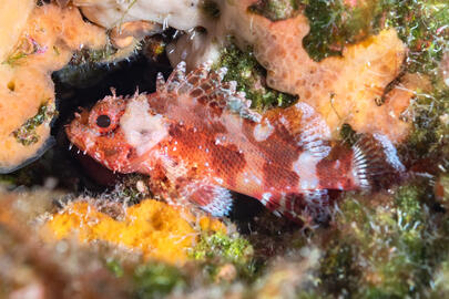 Photo by Stacey Henderson