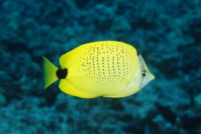 Photo by Janna Nichols Photo by Janna Nichols